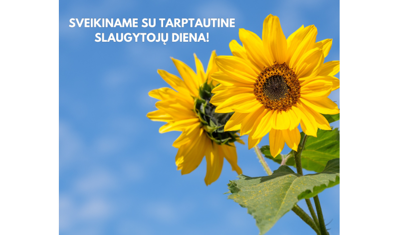 Sveikiname su Tarptautine Slaugytojų Diena!